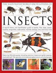 The Illustrated World Encyclopedia Of Insects A Natural
