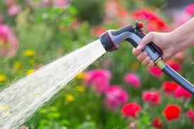 Stock Photo Aff Garden Watering