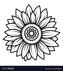 sunflower flower black and white