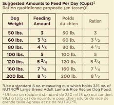 Amazon Com Nutro Natural Choice Large Breed Adult Dog Food