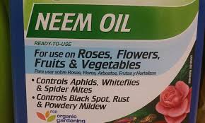 neem oil garden pest and disease