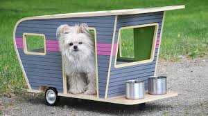 creative dog house designs