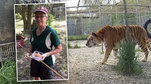 Book online, pay at the hotel. Carole Baskin Tiger At Big Cat Rescue Nearly Tore Off Arm Of Volunteer Who Didn T Follow Protocol
