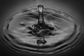 clear droplet liquid macro