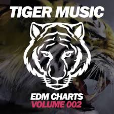 Edm Charts Volume 002 By Dj Swaggy Download Or Listen