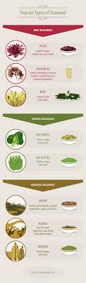 Why You Should Eat Seaweed Ereplacementparts Com Diy Blog