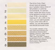 Urine Color Chart Color Of Urine Color Chart