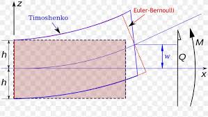 bernoulli beam theory deformation shear