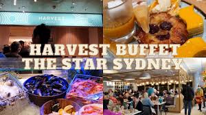 harvest buffet lunch at the star sydney