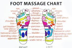 Foot Reflexology Chart Reflexology Massage Foot