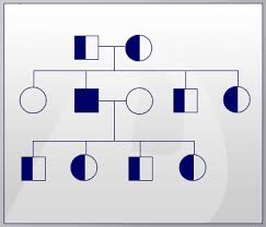 Genetics Basics Lesson 3 Modes Of Inheritance