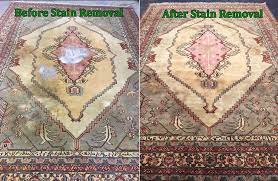 oriental rug cleaning by havi s