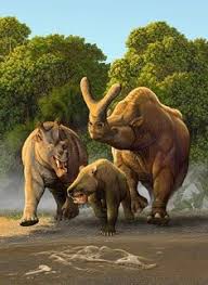 This creature is reminiscent of a rhinoceros, but instead of pointed embolotherium are squat, stocky creatures with hollow, bony protrusions on their snouts that are. 250 Cenozoic Period Ideas Prehistoric Animals Extinct Animals Megafauna