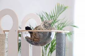 heavy duty cat trees for large cats