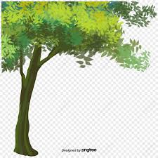 summer trees png images with