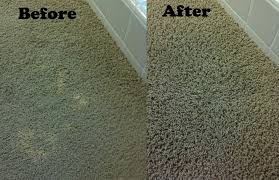 carpet dying and color repair