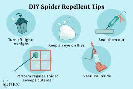 5 diy spider repellents to keep spiders