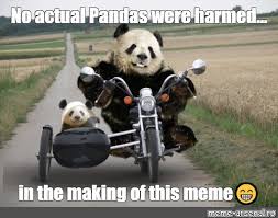 meme no actual pandas were harmed