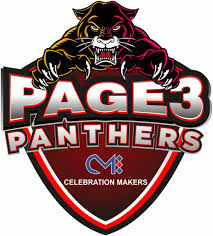 team page3 panthers logo launched apn