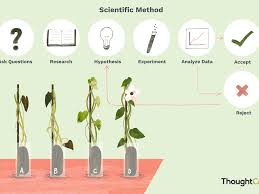 6 Steps Of The Scientific Method
