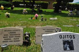 can you bury a pet at your home or