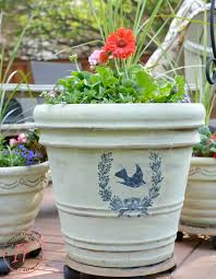 large terracotta pots get french