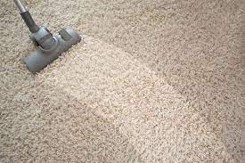carpet care guide south bend in