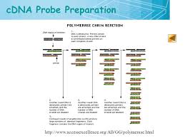 Overview Of Microarray 2 71 Gene Expression Gene Expression