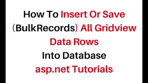 database in asp net c 4 6