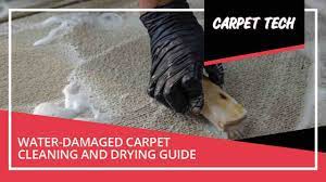 Water-Damaged Carpet Cleaning and Drying Guide - Carpet Tech