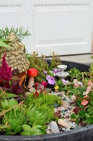 How To Make A Fairy Garden Whats Ur