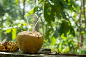 young coconut information nutrition