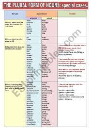The Plural Form Of Nouns Special Cases Grammar Guide Ina