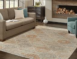 area rugs in endicott and oneonta ny