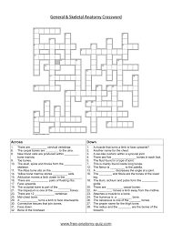 There are 30 words and this. General And Skeletal Anatomy Crossword