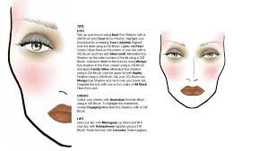 1800 Makeup Face Charts Mac Pro Bible Cosmetics Manual