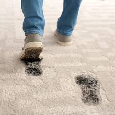 protect your carpet from mud stains