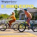 Bingham Cyclery & Electric Bicycle Shop | You know we love E-bikes ...
