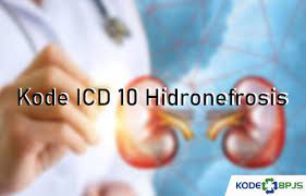 kode icd 10 hidronefrosis 2023