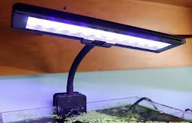 Best Led Fish Tank Lights Grow Plants Faster Zenaquaria