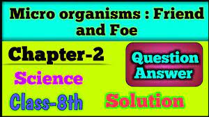 Class 8 Science Chapter 2 Important Question Answer | Micro organisms  Friend and Foe Extra Questions - YouTube