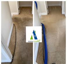 a1 carpet and tile cleaning llc reviews