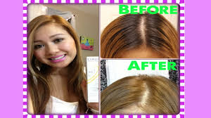 Golden brown highlights pop against a darker base tone. How To Dye Black Hair To Light Brown How I Dye My Roots Youtube