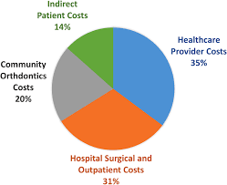 cleft lip and palate care cost
