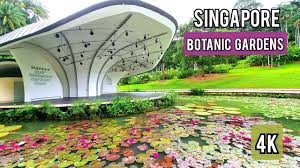 botanic gardens singapore you