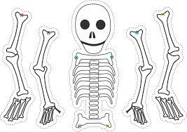 Шаблон скелет (47 фото) » Шаблоны для вырезания и векторы для презентаций -  Гризли.Клаб