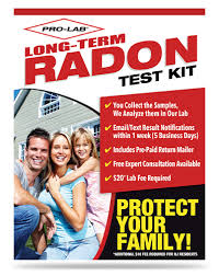 radon gas long term test kit pro lab