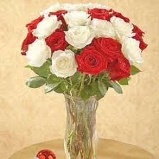 red n white roses vase