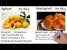 apricot vs dried apricot which is