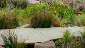 Rain Gardens And Stormwater Swales